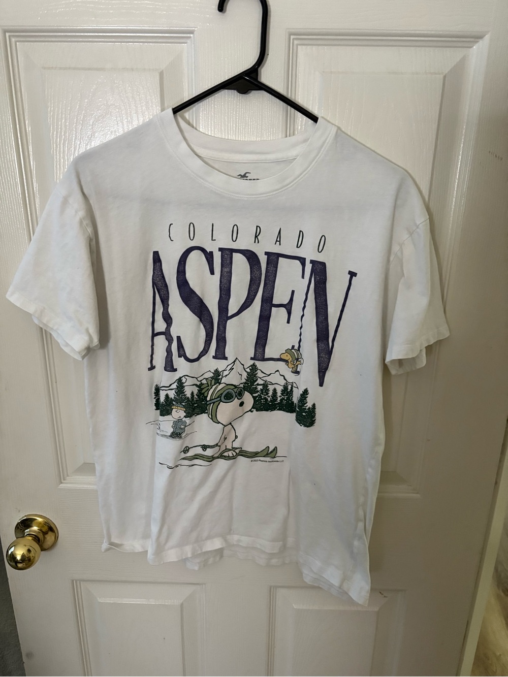 Hollister White Kids Aspen Colorado Graphic Tee with Navy & Green Print